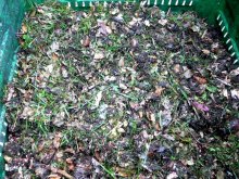 Aj v zime musíme miešať uhlíkaté a dusíkaté materiály